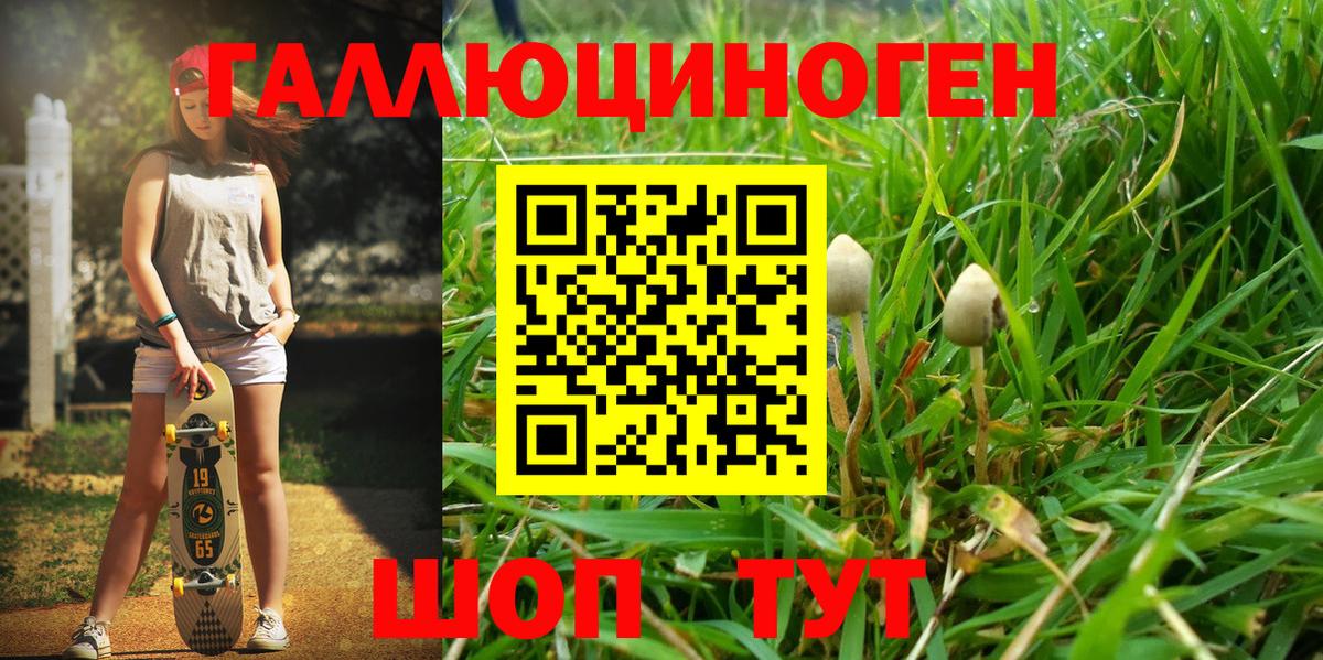 Киреевск  Галлюциногенные грибы Magic Shrooms  Вход с VPN 