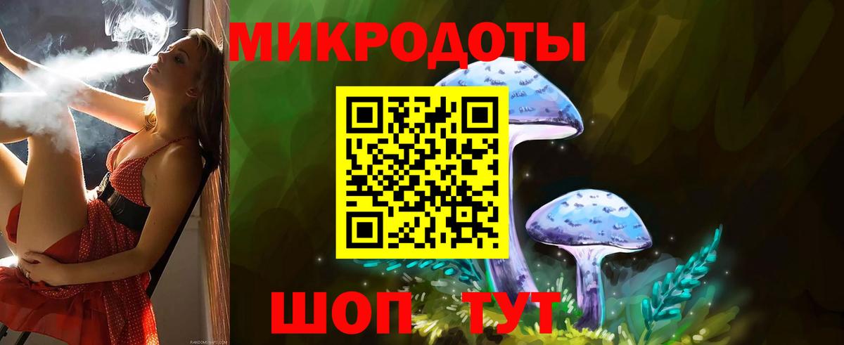 Псилоцибиновые грибы мицелий Киреевск